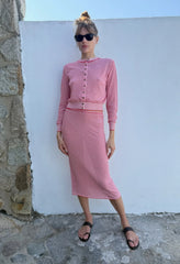 Faye Red Stripe Sheer Knit Skirt